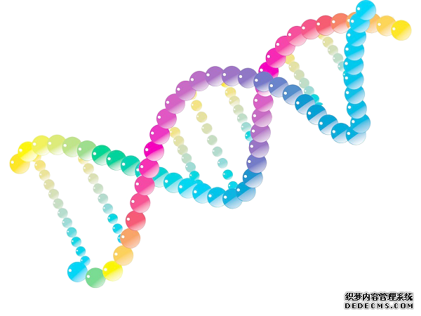 基因取样拭子检测DNA